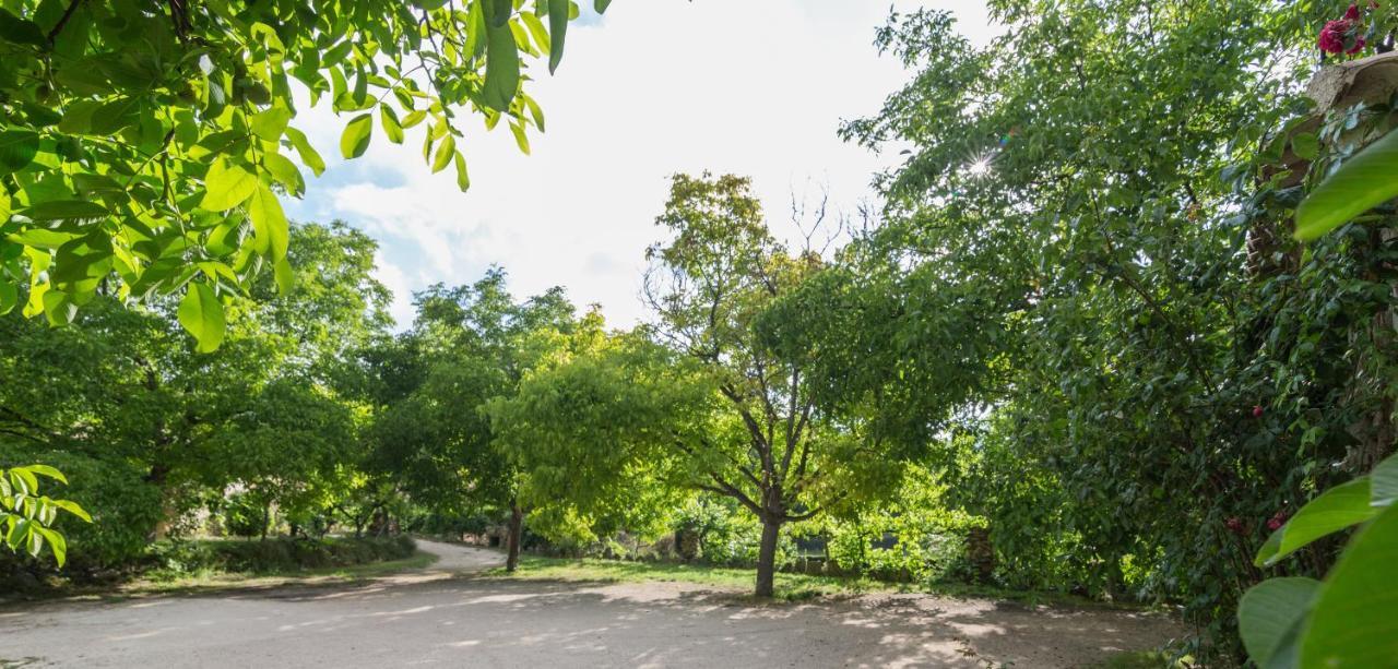Casas Rurales Los Enebros Nerpio Dış mekan fotoğraf