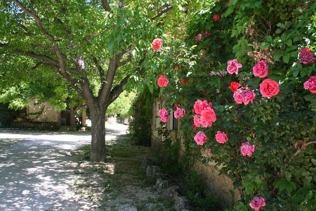 Casas Rurales Los Enebros Nerpio Dış mekan fotoğraf